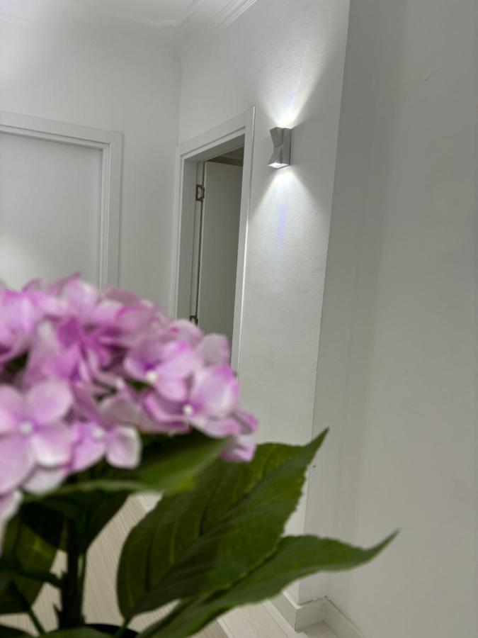 Center, Selvia White Apartament