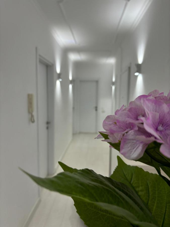 Center, Selvia White Apartament *